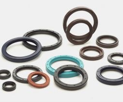 Oil Seal